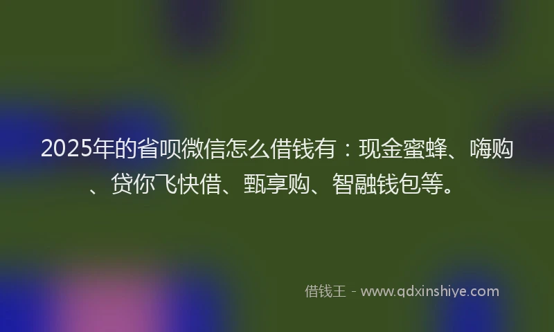2025年的省呗微信怎么借钱有：现金蜜蜂、嗨购、贷你飞快借、甄享购、智融钱包等。