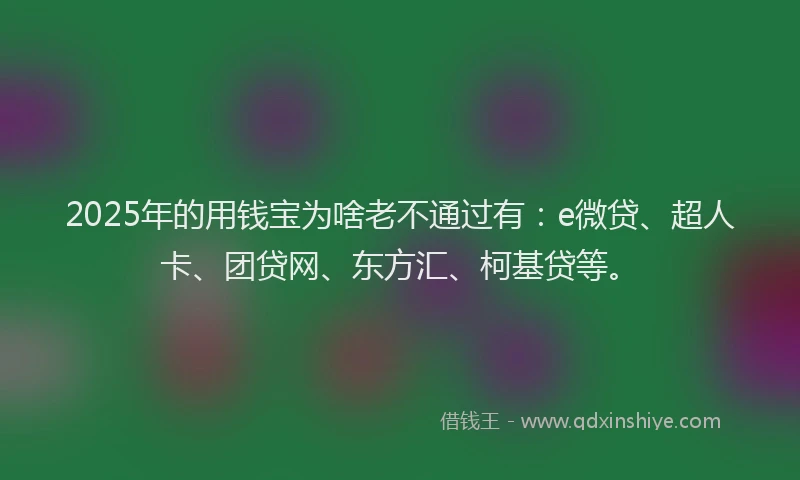 2025年的用钱宝为啥老不通过有：e微贷、超人卡、团贷网、东方汇、柯基贷等。