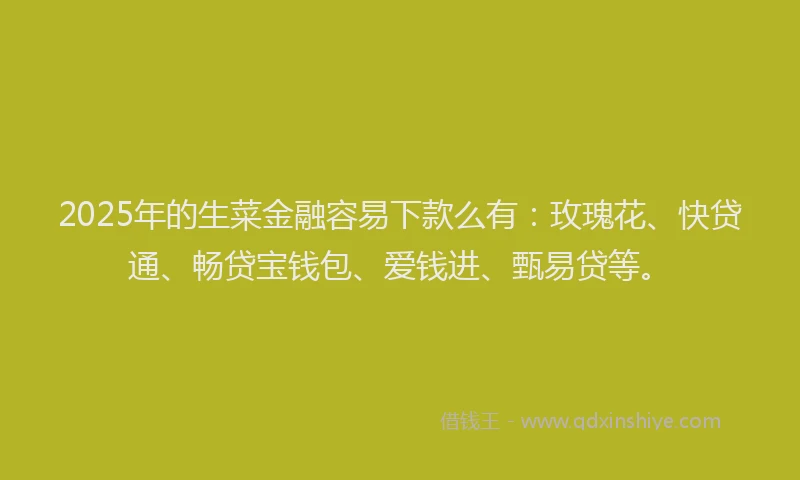 2025年的生菜金融容易下款么有：玫瑰花、快贷通、畅贷宝钱包、爱钱进、甄易贷等。