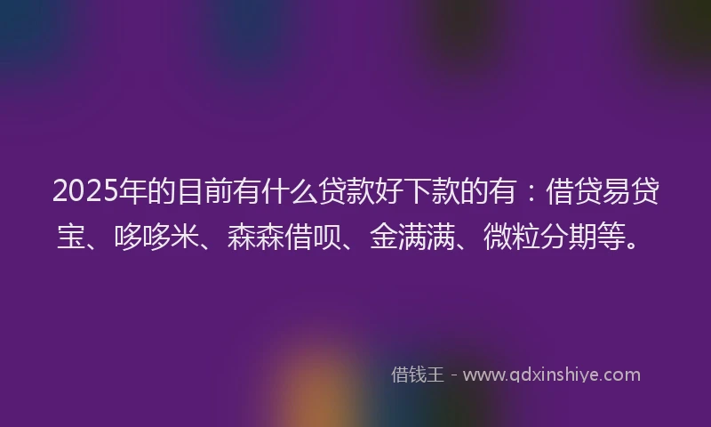 2025年的目前有什么贷款好下款的有：借贷易贷宝、哆哆米、森森借呗、金满满、微粒分期等。