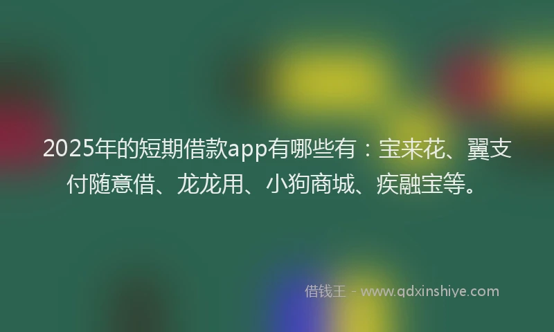 2025年的短期借款app有哪些有：宝来花、翼支付随意借、龙龙用、小狗商城、疾融宝等。