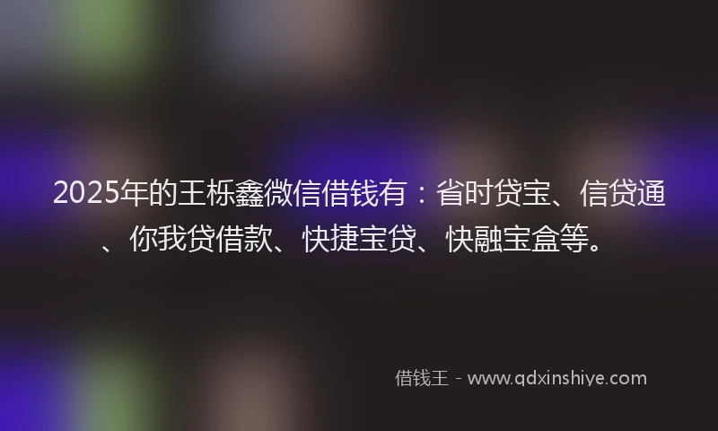 2025年的王栎鑫微信借钱有：省时贷宝、信贷通、你我贷借款、快捷宝贷、快融宝盒等。