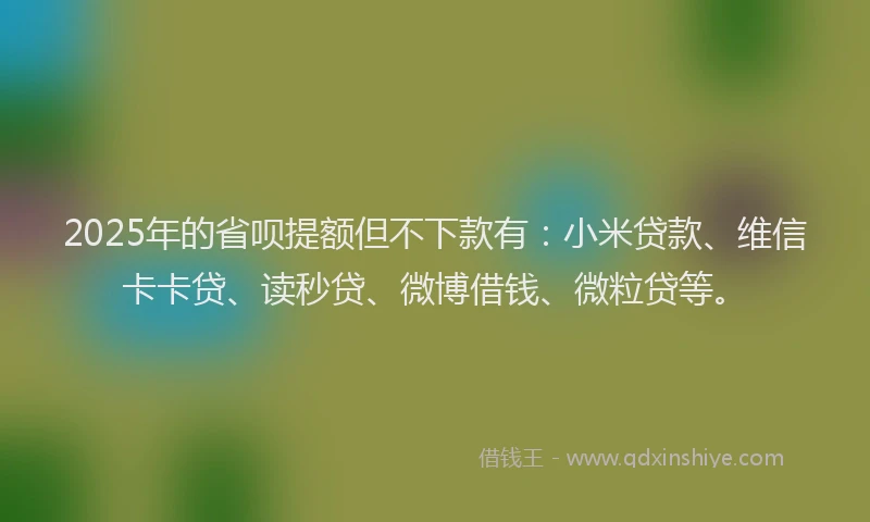 2025年的省呗提额但不下款有：小米贷款、维信卡卡贷、读秒贷、微博借钱、微粒贷等。