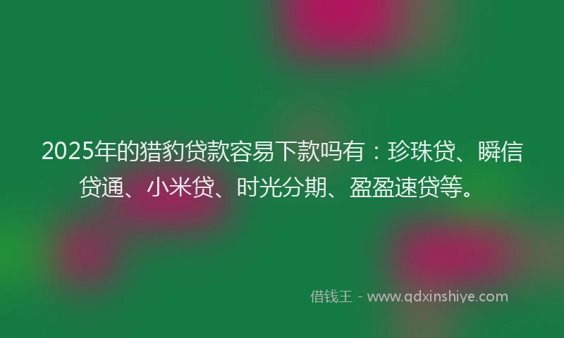 2025年的猎豹贷款容易下款吗有：珍珠贷、瞬信贷通、小米贷、时光分期、盈盈速贷等。