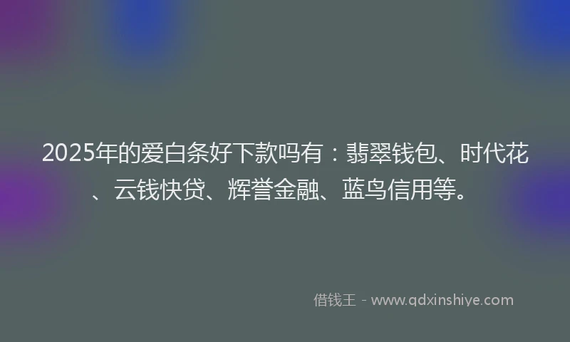 2025年的爱白条好下款吗有：翡翠钱包、时代花、云钱快贷、辉誉金融、蓝鸟信用等。