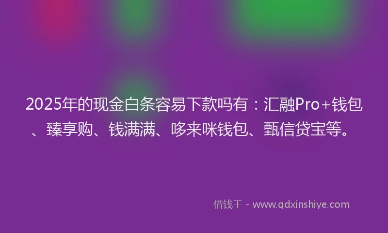 2025年的现金白条容易下款吗有：汇融Pro+钱包、臻享购、钱满满、哆来咪钱包、甄信贷宝等。