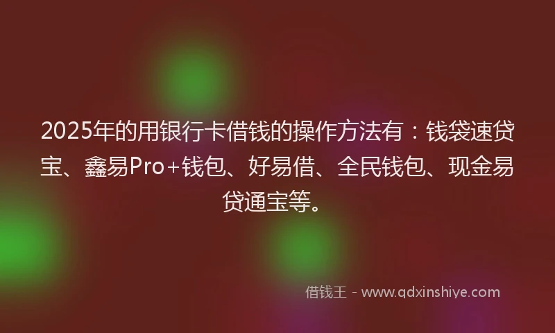 2025年的用银行卡借钱的操作方法有：钱袋速贷宝、鑫易Pro+钱包、好易借、全民钱包、现金易贷通宝等。