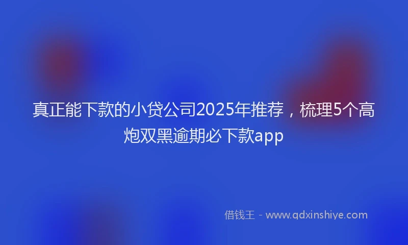 真正能下款的小贷公司2025年推荐，梳理5个高炮双黑逾期必下款app