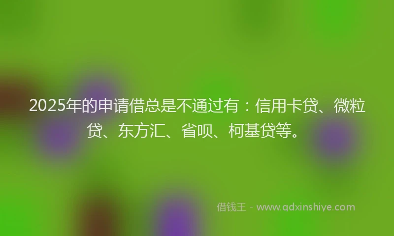 2025年的申请借总是不通过有：信用卡贷、微粒贷、东方汇、省呗、柯基贷等。