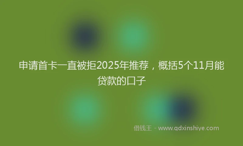 申请首卡一直被拒2025年推荐，概括5个11月能贷款的口子