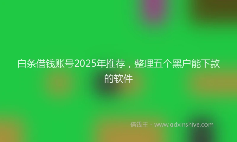 白条借钱账号2025年推荐，整理五个黑户能下款的软件