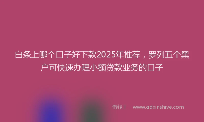 白条上哪个口子好下款2025年推荐，罗列五个黑户可快速办理小额贷款业务的口子