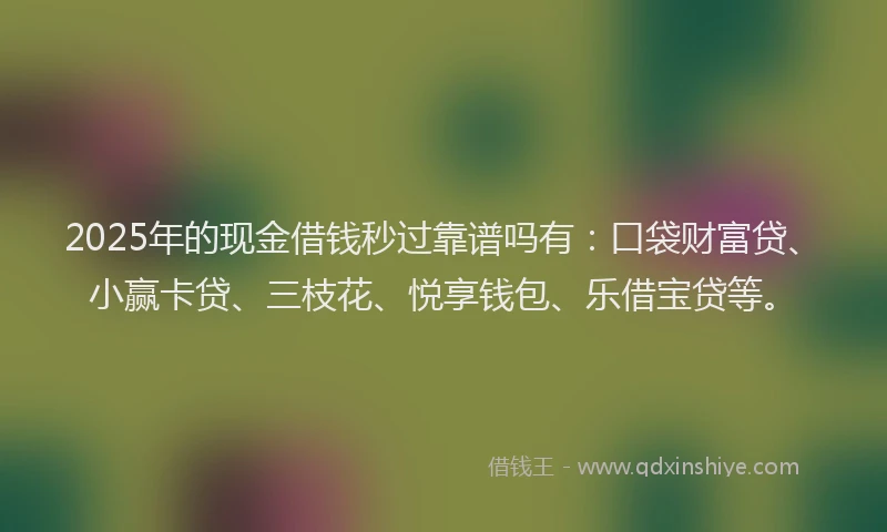 2025年的现金借钱秒过靠谱吗有：口袋财富贷、小赢卡贷、三枝花、悦享钱包、乐借宝贷等。