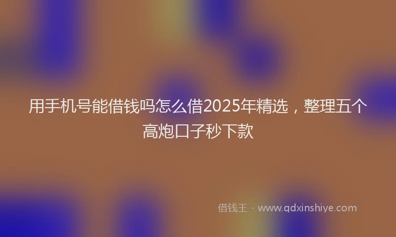 用手机号能借钱吗怎么借2025年精选，整理五个高炮口子秒下款