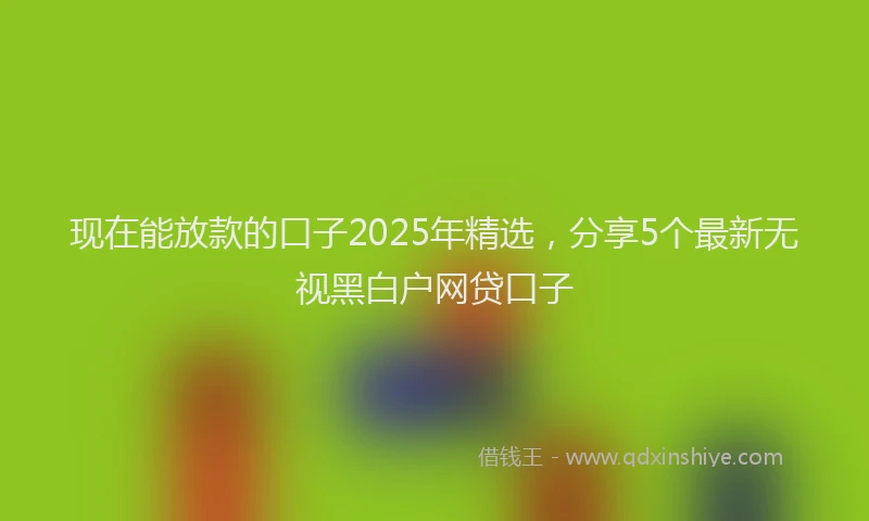 现在能放款的口子2025年精选，分享5个最新无视黑白户网贷口子