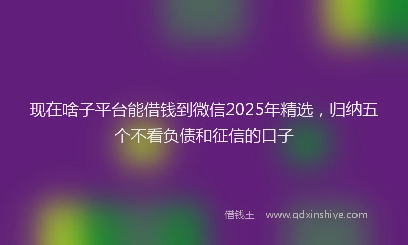 现在啥子平台能借钱到微信2025年精选，归纳五个不看负债和征信的口子