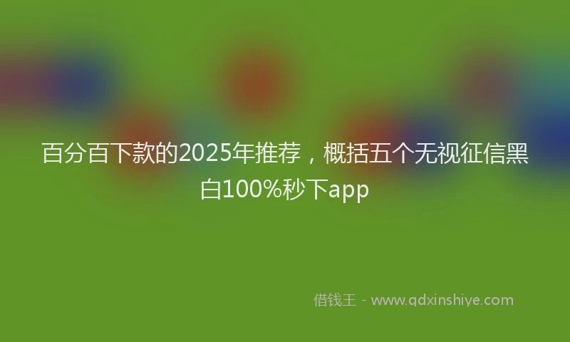 百分百下款的2025年推荐，概括五个无视征信黑白100%秒下app