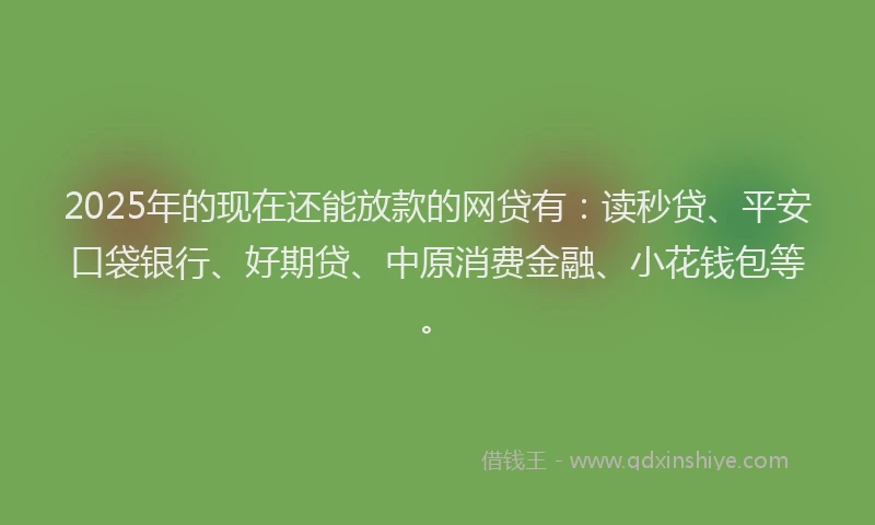2025年的现在还能放款的网贷有：读秒贷、平安口袋银行、好期贷、中原消费金融、小花钱包等。