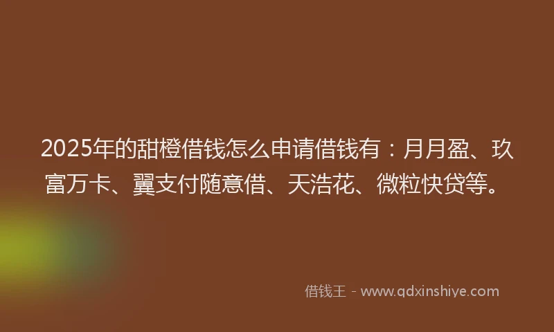 2025年的甜橙借钱怎么申请借钱有：月月盈、玖富万卡、翼支付随意借、天浩花、微粒快贷等。
