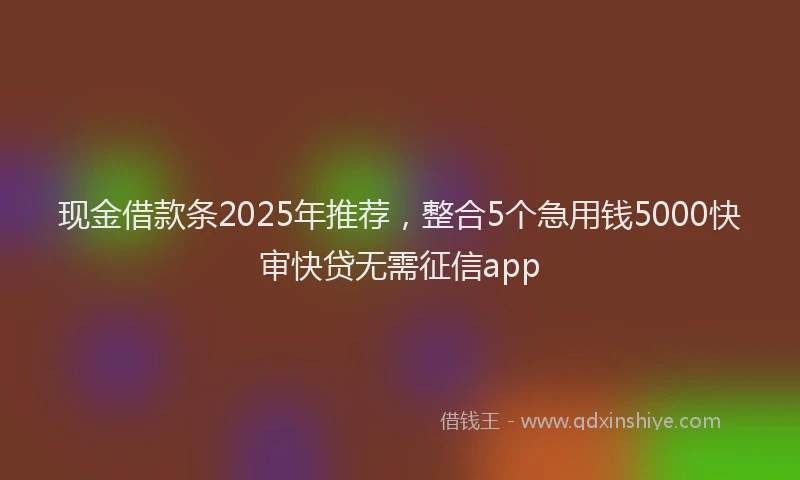 现金借款条2025年推荐，整合5个急用钱5000快审快贷无需征信app