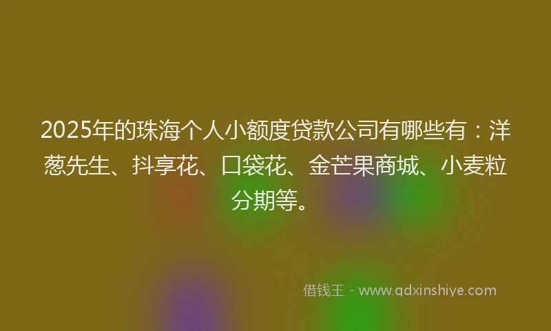 2025年的珠海个人小额度贷款公司有哪些有：洋葱先生、抖享花、口袋花、金芒果商城、小麦粒分期等。