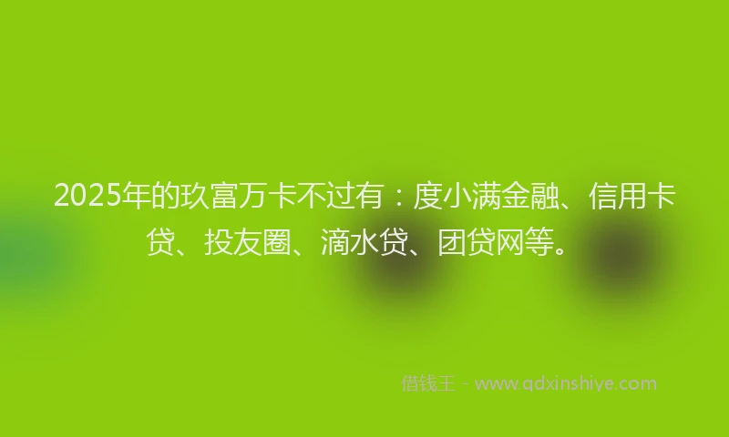 2025年的玖富万卡不过有：度小满金融、信用卡贷、投友圈、滴水贷、团贷网等。