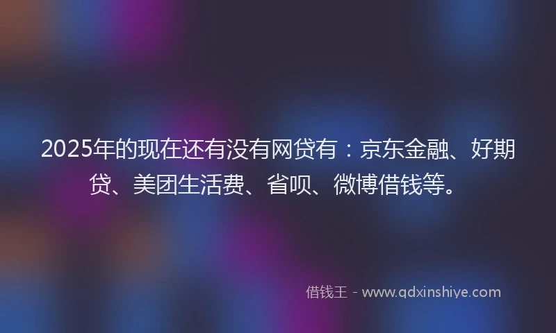 2025年的现在还有没有网贷有：京东金融、好期贷、美团生活费、省呗、微博借钱等。