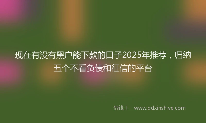 现在有没有黑户能下款的口子2025年推荐，归纳五个不看负债和征信的平台