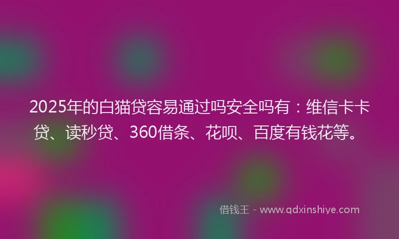 2025年的白猫贷容易通过吗安全吗有：维信卡卡贷、读秒贷、360借条、花呗、百度有钱花等。
