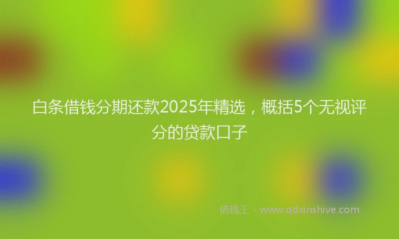 白条借钱分期还款2025年精选，概括5个无视评分的贷款口子