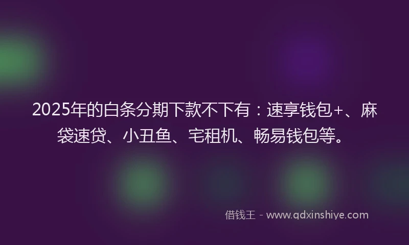 2025年的白条分期下款不下有：速享钱包+、麻袋速贷、小丑鱼、宅租机、畅易钱包等。