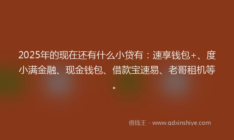 2025年的现在还有什么小贷有：速享钱包+、度小满金融、现金钱包、借款宝速易、老哥租机等。