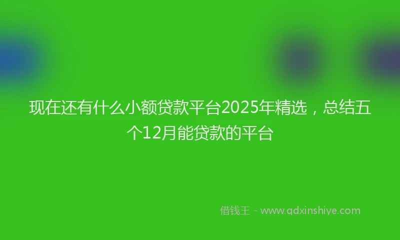 现在还有什么小额贷款平台2025年精选，总结五个12月能贷款的平台