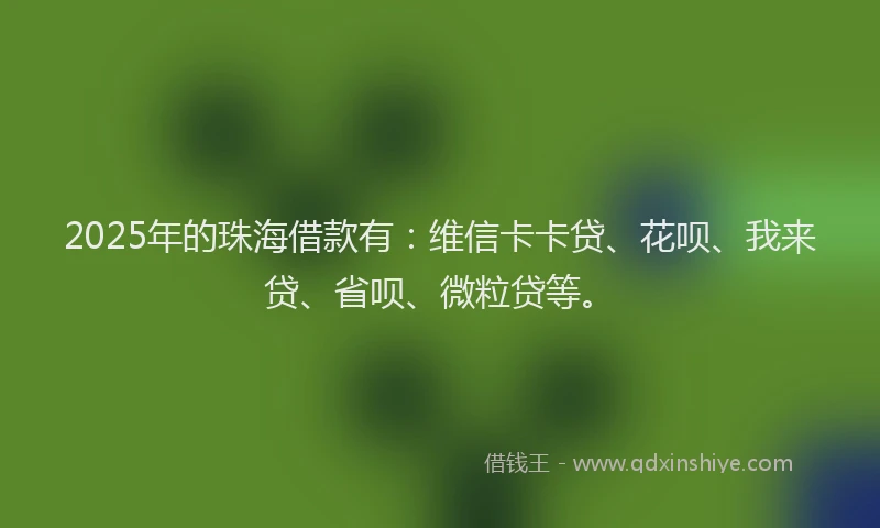 2025年的珠海借款有：维信卡卡贷、花呗、我来贷、省呗、微粒贷等。