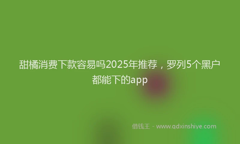 甜橘消费下款容易吗2025年推荐，罗列5个黑户都能下的app