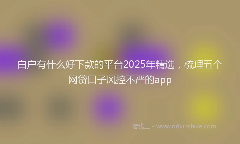 白户有什么好下款的平台2025年精选，梳理五个网贷口子风控不严的app