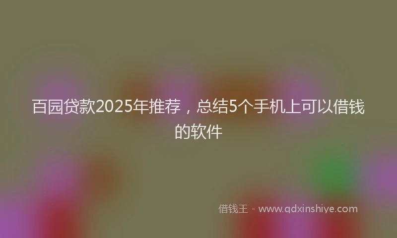 百园贷款2025年推荐，总结5个手机上可以借钱的软件