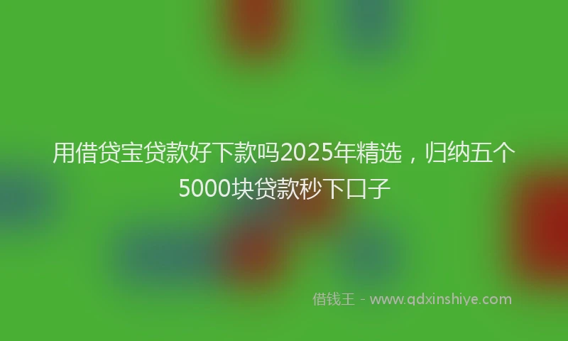 用借贷宝贷款好下款吗2025年精选，归纳五个5000块贷款秒下口子