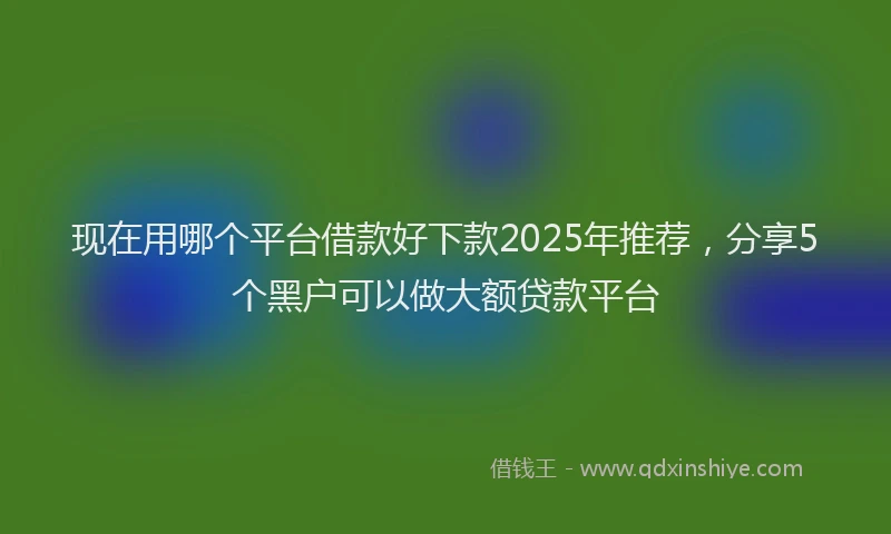 现在用哪个平台借款好下款2025年推荐，分享5个黑户可以做大额贷款平台