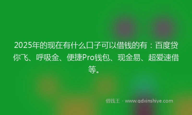 2025年的现在有什么口子可以借钱的有：百度贷你飞、呼吸金、便捷Pro钱包、现金易、超爱速借等。