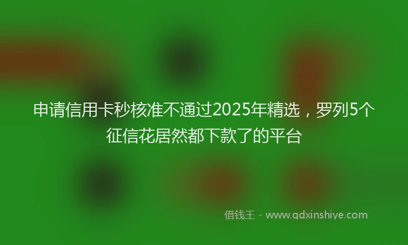 申请信用卡秒核准不通过2025年精选，罗列5个征信花居然都下款了的平台