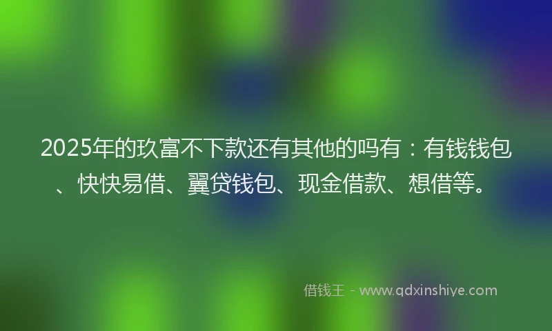 2025年的玖富不下款还有其他的吗有：有钱钱包、快快易借、翼贷钱包、现金借款、想借等。