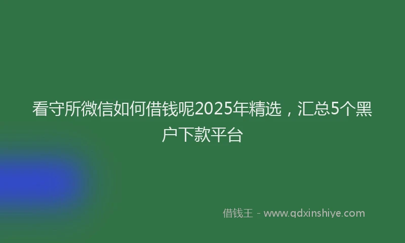 看守所微信如何借钱呢2025年精选，汇总5个黑户下款平台