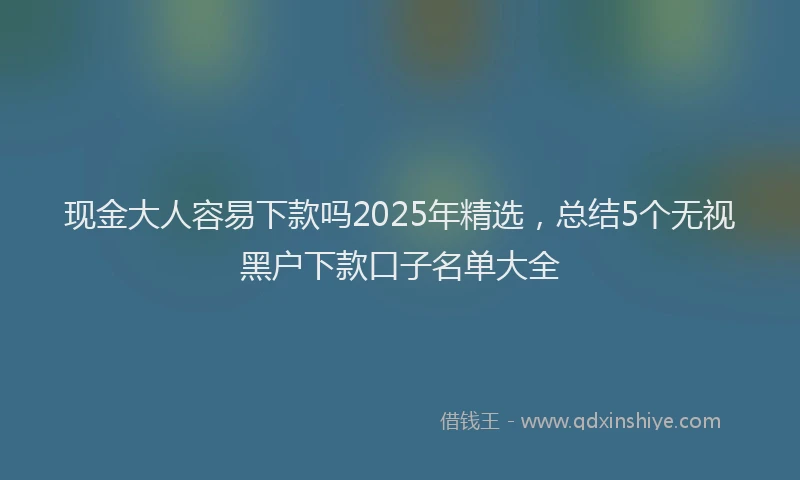 现金大人容易下款吗2025年精选，总结5个无视黑户下款口子名单大全
