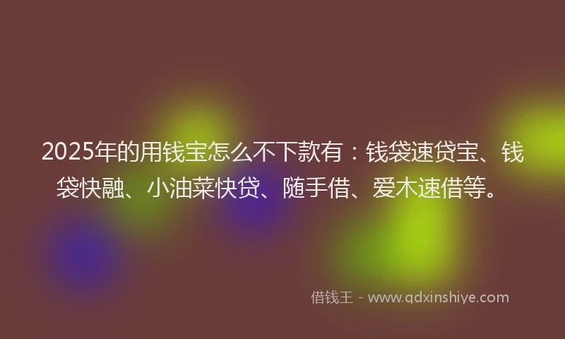 2025年的用钱宝怎么不下款有：钱袋速贷宝、钱袋快融、小油菜快贷、随手借、爱木速借等。