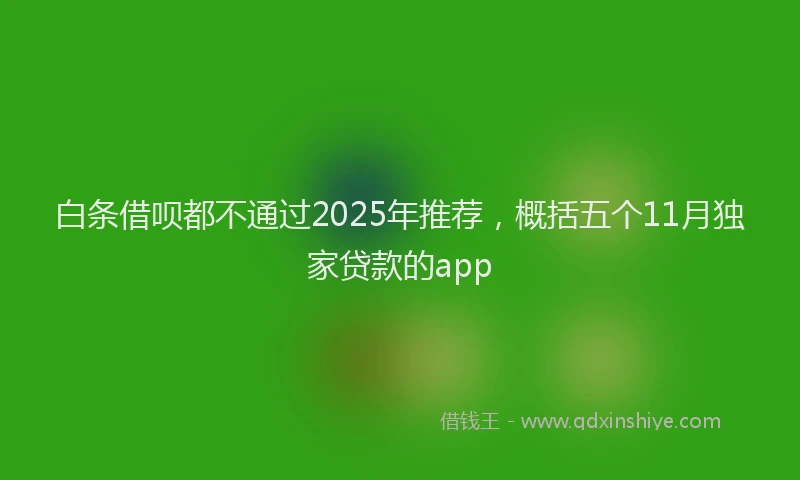 白条借呗都不通过2025年推荐，概括五个11月独家贷款的app