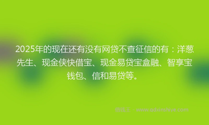 2025年的现在还有没有网贷不查征信的有：洋葱先生、现金侠快借宝、现金易贷宝盒融、智享宝钱包、信和易贷等。