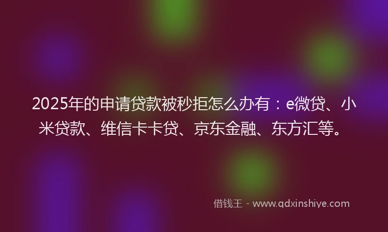 2025年的申请贷款被秒拒怎么办有：e微贷、小米贷款、维信卡卡贷、京东金融、东方汇等。