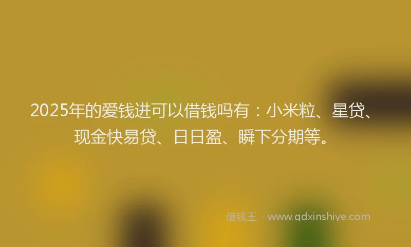 2025年的爱钱进可以借钱吗有：小米粒、星贷、现金快易贷、日日盈、瞬下分期等。