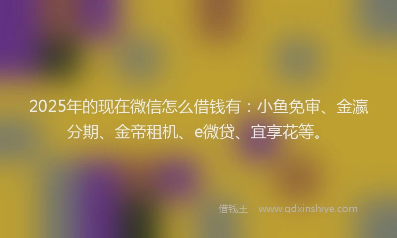 2025年的现在微信怎么借钱有：小鱼免审、金瀛分期、金帝租机、e微贷、宜享花等。